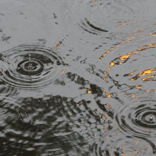 Ayuntamiento de Guadalajara aprovechará agua de lluvia