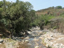 Ruta. Los paseantes pueden dejarse llevar por el camino que toma el agua de estos arroyos. ESPECIAL /