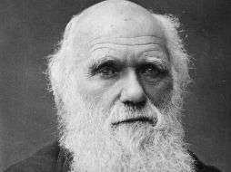 Sobre los pasos de Darwin, los trabajos de especialistas internacionales. ARCHIVO /