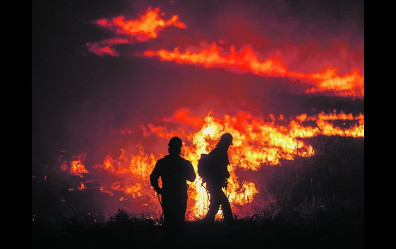 Incendio. Durante la administración de Emilio González Márquez se destinaron 19 millones 660 mil pesos de presupuesto al bosque. EL INFORMADOR /