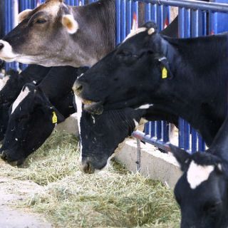 La Seder arranca proyecto de capacitación a lecheros