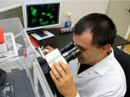 Informan que continúan realizando análisis para comprender hasta qué punto el virus se ha difundido. ARCHIVO /