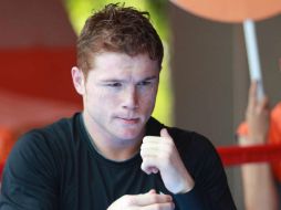 ''Money'' Mayweather Jr. se enfrenta a ''Canelo'' Álvares el próximo 14 de septiembre en Las Vegas. MEXSPORT /