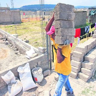 Gobernanza, primer paso para salvar el bosque de La Primavera