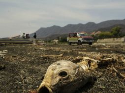 Alcaldes compartirán la responsabilidad de custodiar el vaso lacustre. ARCHIVO /