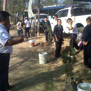 Zapopan busca plantar 218 mil árboles