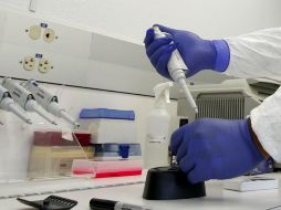 La ley de Fertilización Asistida, garantiza a parejas de distinto y del mismo sexo el acceso a las técnicas de reproducción. ARCHIVO /