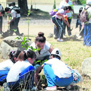 Protegen áreas naturales sólo en papel