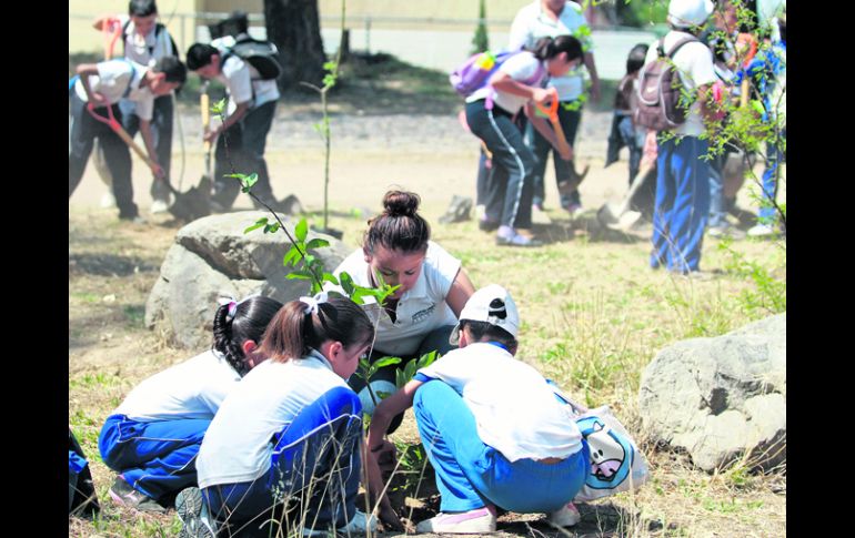 El municipio de Zapopan anunció que plantará 218 mil árboles en El Centinela, La Herradura, Los Bailarines, Palo Gordo y La Primavera. EL INFORMADOR /
