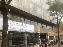 Autoridades de Conagua piden recortar los árboles sin tener un dictamen para hacerlo.  /