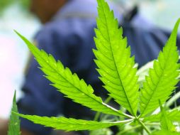 La ley entrará en vigor a partir del 1 de julio próximo. ARCHIVO /