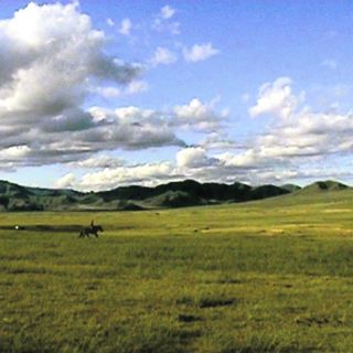 Estudio abierto: artistas trabajando