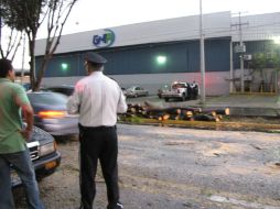 El incidente movilizó a los elementos viales y demás autoridades que procedieron al corte y retiro del árbol.  /