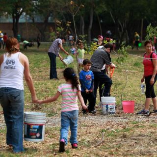 Reforestan al Parque Metropolitano