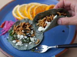 En muchos casos los insectos son consumidos en tacos. ARCHIVO /