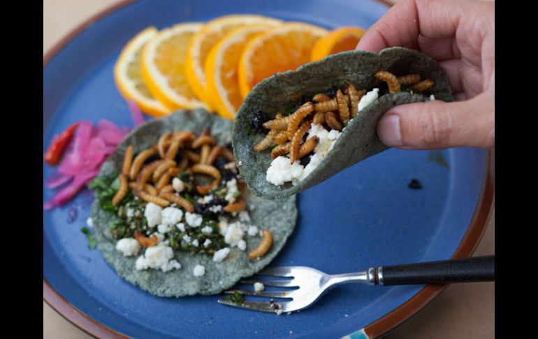 En muchos casos los insectos son consumidos en tacos. ARCHIVO /