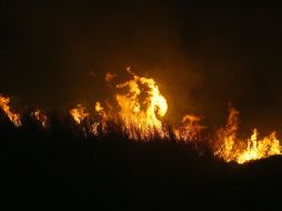 El fuego todavía no es controlado en su totalidad. ARCHIVO /