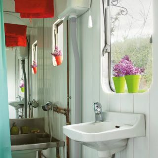 Plantas que dan vida a los espacios