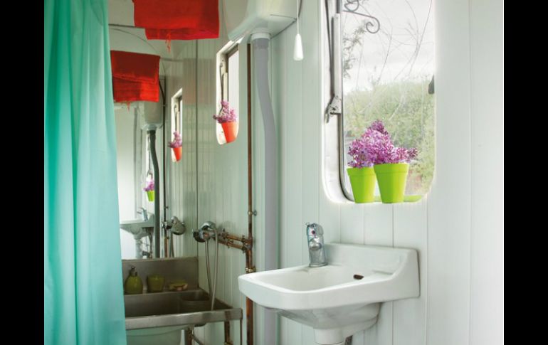 Algunas de las plantas de sombra ideales para la decoración interior son los helechos, los crotos, las amoneas o las cunas de Moisés. ESPECIAL /