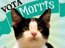 En Xalapa comenzó la candidatura del ''Candigato Morris'' como una campaña en contra de Javier Duarte. ESPECIAL /