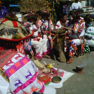 Actos y omisiones ponen en peligro a Wirikuta, denuncian