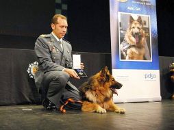 Con 12 años a cuestas, equivalentes a 80 años en el hombre, Ajax disfruta de una merecida jubilación. EFE /