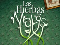 La obra es un ejemplo de dramaturgia contemporánea para jóvenes que expone una temática que dialoga directamente con el espectador.  /