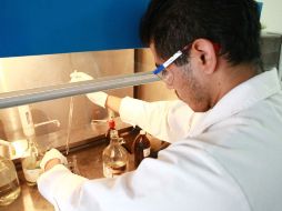 Los diez científicos seleccionados trabajarán en investigaciones innovadoras en biomédica. ARCHIVO /