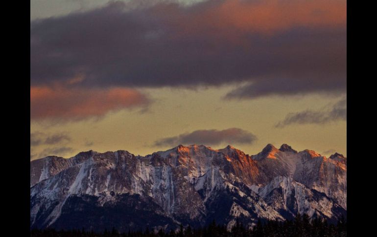 Greenpeace Canadá asegura que el área afectada por el derrame es uno de los humedales más importantes de Norteamérica. ARCHIVO /