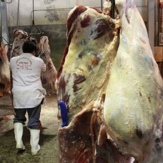 Rastro Garibay, primero en conseguir certificación TIF en Jalisco