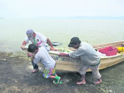 Las propias cooperativas calculan que podrían ser hasta tres mil los afectados por la caída en la productividad del lago. EL INFORMADOR /