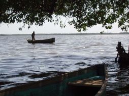 La crisis en la vida acuática del lago de Chapala afecta a miles de familias que se mantienen de la pesca en la zona. ARCHIVO /