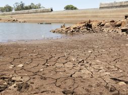 La conafor señala que el exceso de cultivos, el sobrepastoreo y la deforestación son las principales causas de degradación. ARCHIVO /