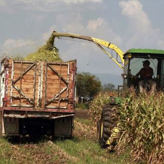 En 2012, Ciudad Guzmán concentra 84% de recursos para el campo