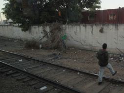 El hombre fue aplastado por las máquinas 3111 y 3559 del tren de carga El Castillo-Guadalajara. ARCHIVO /
