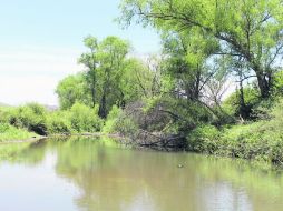 Distintivo. El arroyo comulga con la vegetación y ofrece un lugar para disfrutar. ESPECIAL /