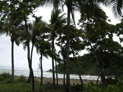El fenómeno fue sentido con particular intensidad en sectores del litoral oeste, el norte y el Valle Central. ARCHIVO /