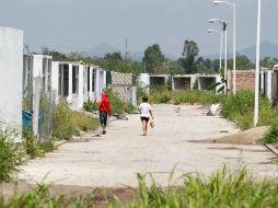 Las hectáreas fincadas en Los Silos quedan sin atención de autoridades, desarrolladores, ni habitantes.  /
