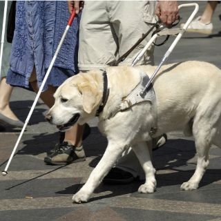 Bastón inteligente ayuda a débiles visuales