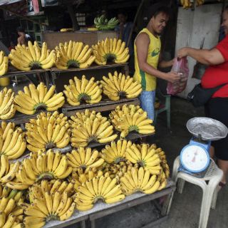 Una adolescente turca es premiada por producir plástico con cáscaras de plátano