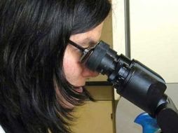 Instituciones relacionadas con la ciencia ponen como una de sus prioridades involucrar la equidad de género. ARCHIVO /