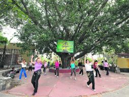 Muchas de ellas abuelas se mueven al ritmo que les marca la maestra Rosa María Rivero Franco. ESPECIAL /