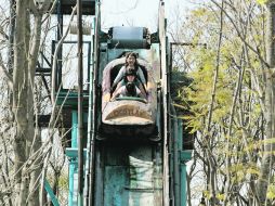 Selva mágica. Entre sus principales atractivos están los troncos, una divertida forma de refrescarse. ESPECIAL /