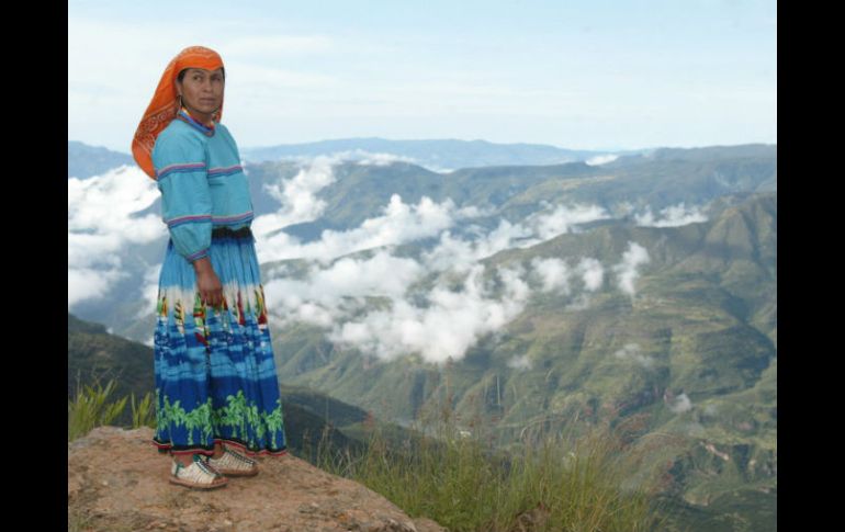 Cada elemento natural que habita en Wirikuta es igualmente sagrado, incluida la plata que pretenden extraer empresas extranjeras. ARCHIVO /