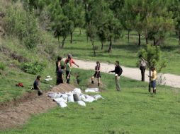 Este proyecto cuenta con el liderazgo de especialistas y ciudadanos voluntarios.  /