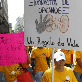 Celebran caminata a favor de la donación de órganos