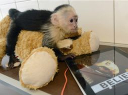 El pasado marzo Bieber trató de ingresar a Alemania con Mally, pero se lo impidieron porque no portaba papeles de vacunación. ARCHIVO /