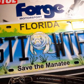 Florida celebra protegiendo a sus tortugas y manatíes