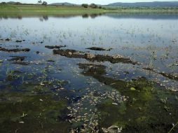 Ecocidio en Tlajomulco, un ejemplo de daños por desechos de empresas. NTX /