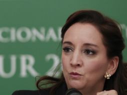 El mundo debe saber que nuestro país es mucho más que playas hermosas y un clima maravilloso, expresó Ruiz Massieu. ARCHIVO /